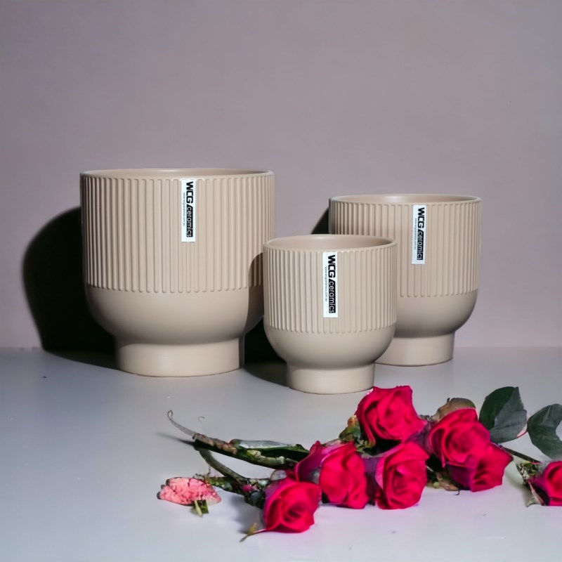 Newly Design Flowerpots CP12