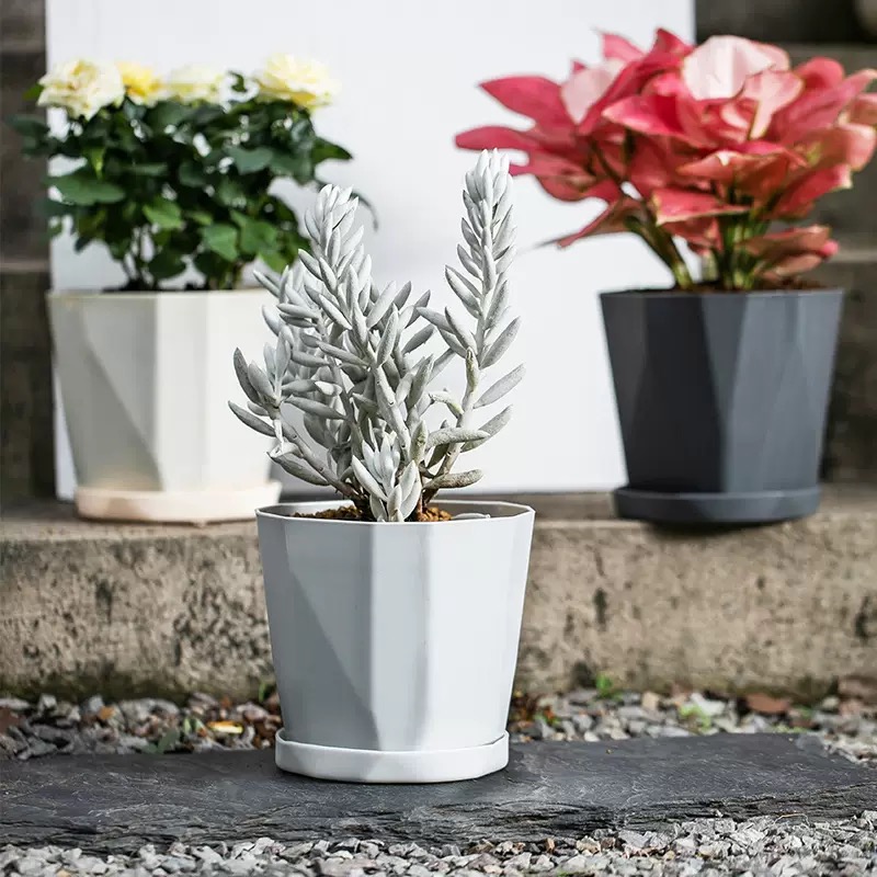 Diamond Cut Planter PL02