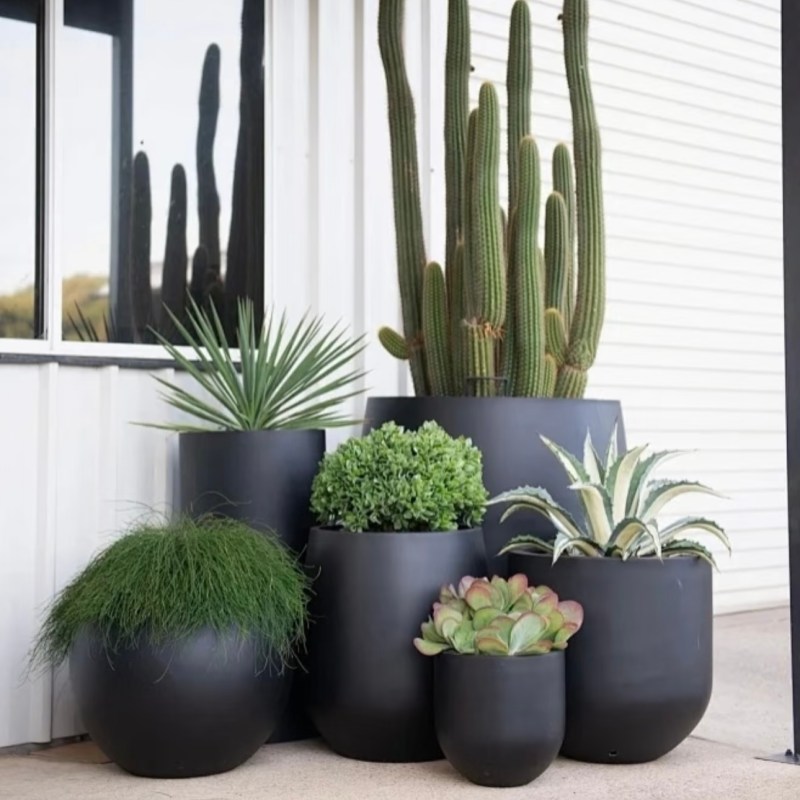 Grand Terra Series FB13