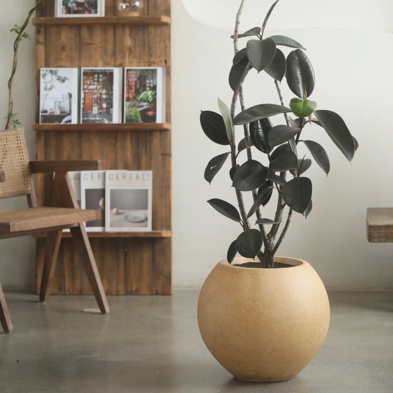 Soft Earth Ball Series FB12